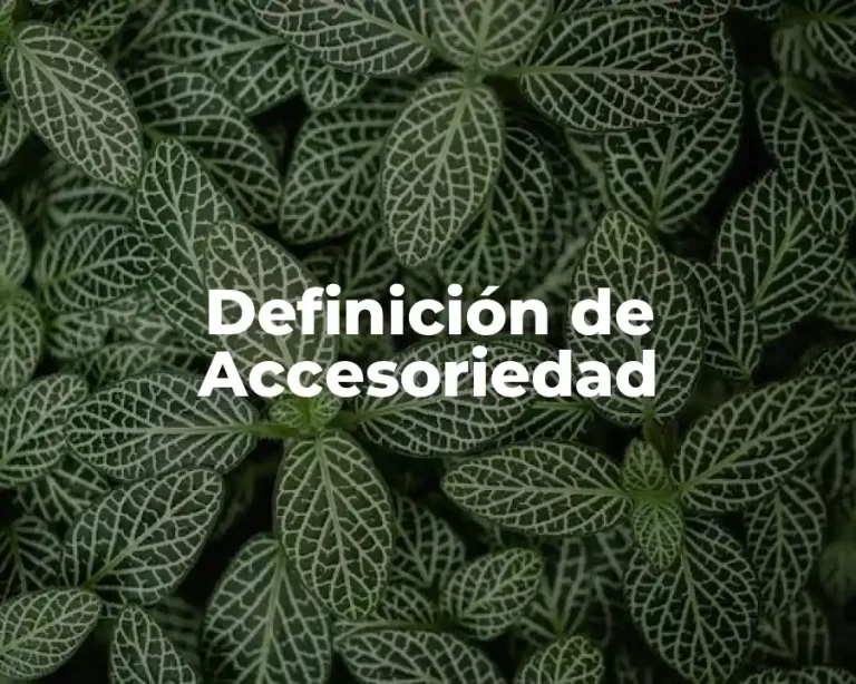 Definición de Accesoriedad