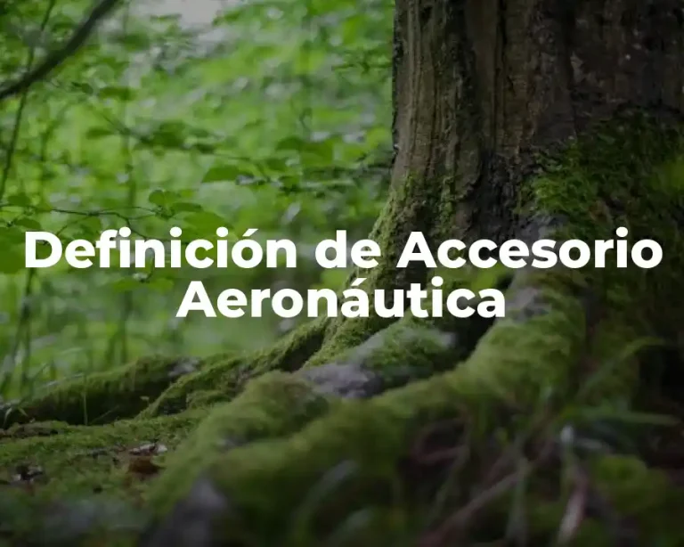 Definición de Accesorio Aeronáutica