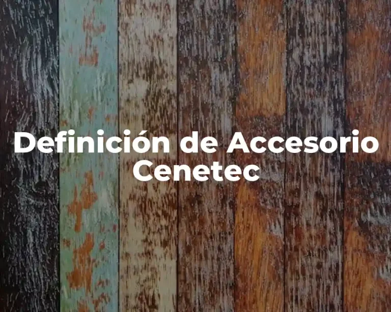 Definición de Accesorio Cenetec