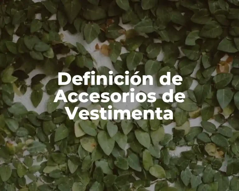 Definición de Accesorios de Vestimenta