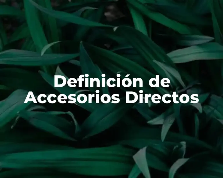 Definición de Accesorios Directos