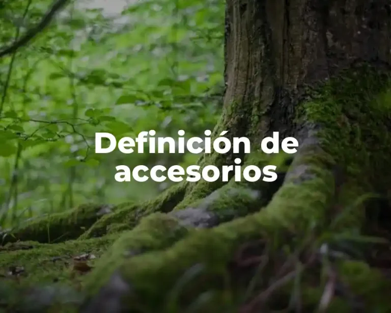 Definición de accesorios