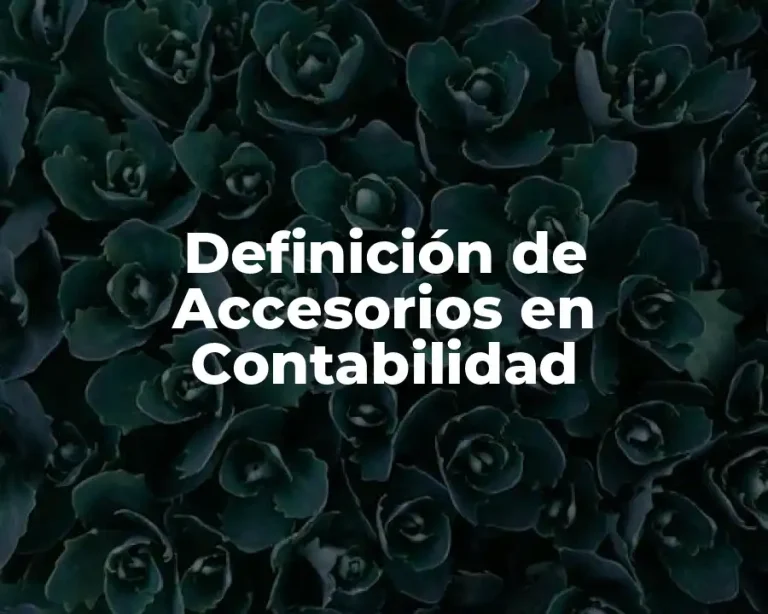 Definición de Accesorios en Contabilidad