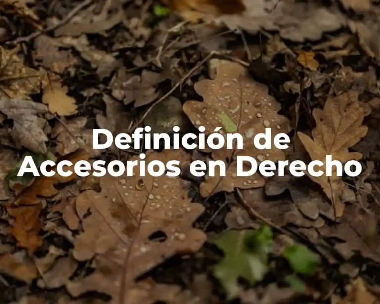 Definición de Accesorios en Derecho