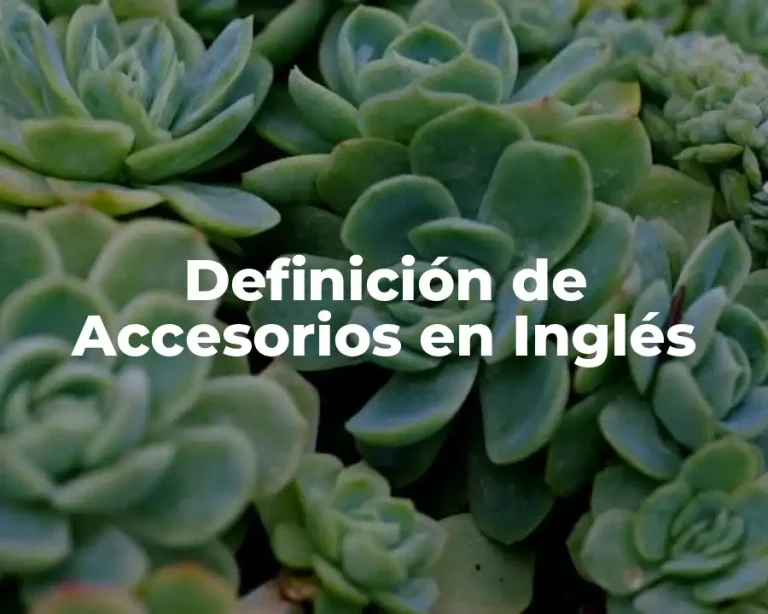 Definición de Accesorios en Inglés