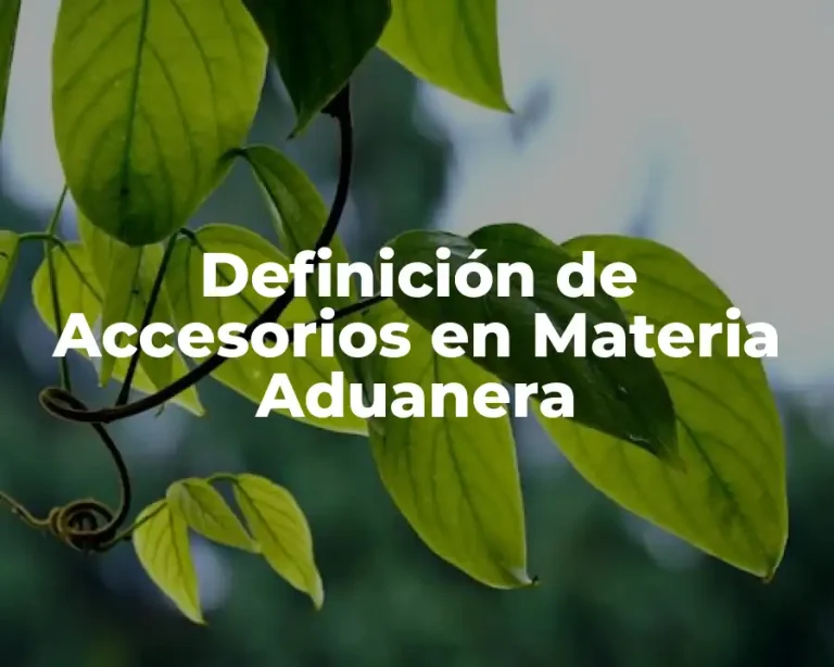Definición de Accesorios en Materia Aduanera