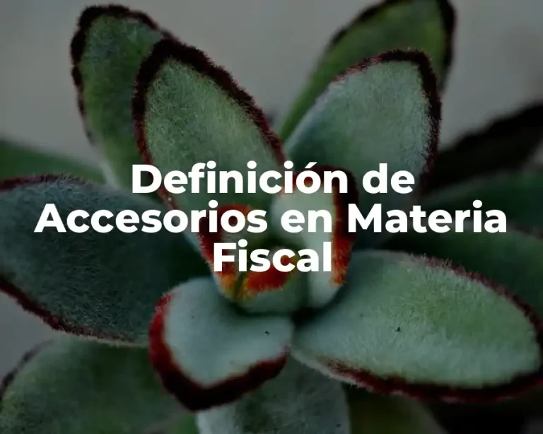 Definición de Accesorios en Materia Fiscal