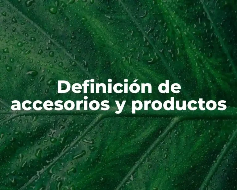 Definición de accesorios y productos