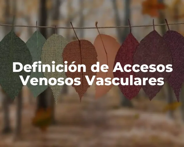 Definición de Accesos Venosos Vasculares