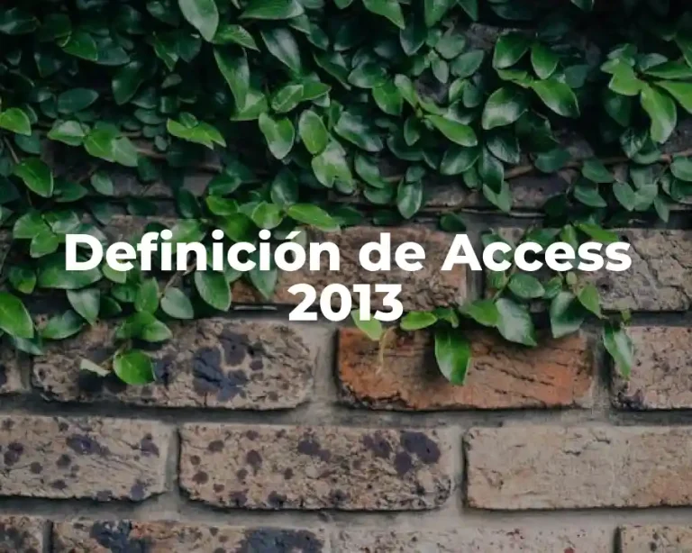 Definición de Access 2013