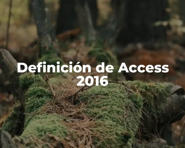 Definición de Access 2016
