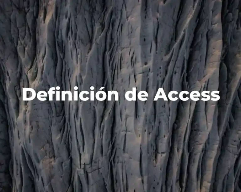 Definición de Access