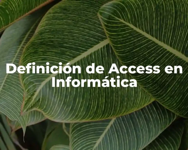 Definición de Access en Informática