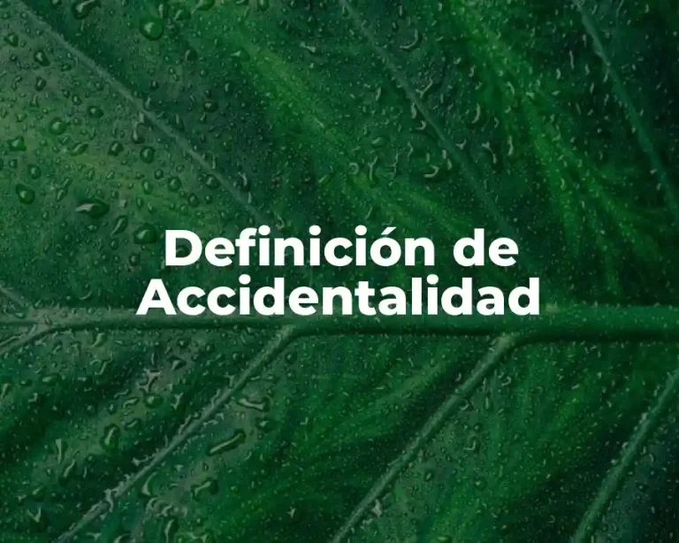Definición de Accidentalidad
