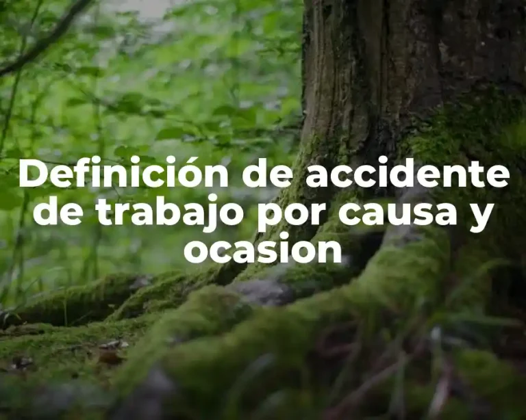 Definición de accidente de trabajo por causa y ocasion