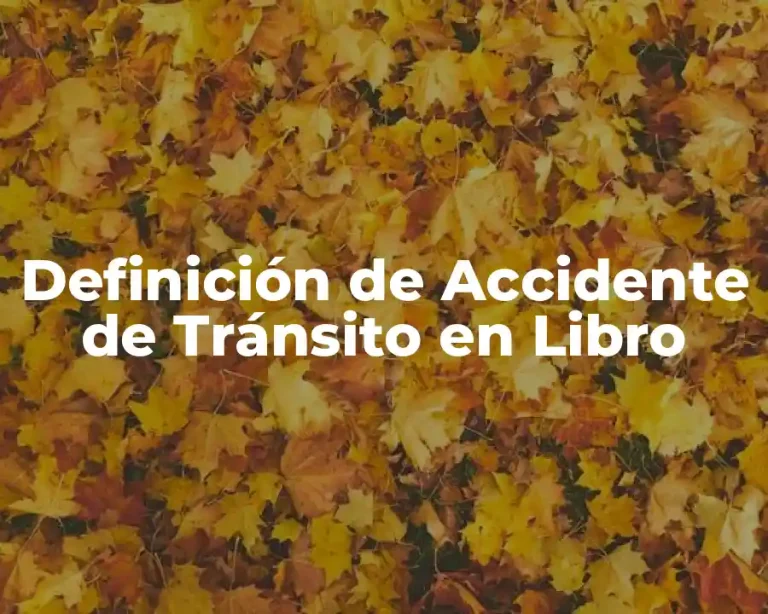 Definición de Accidente de Tránsito en Libro