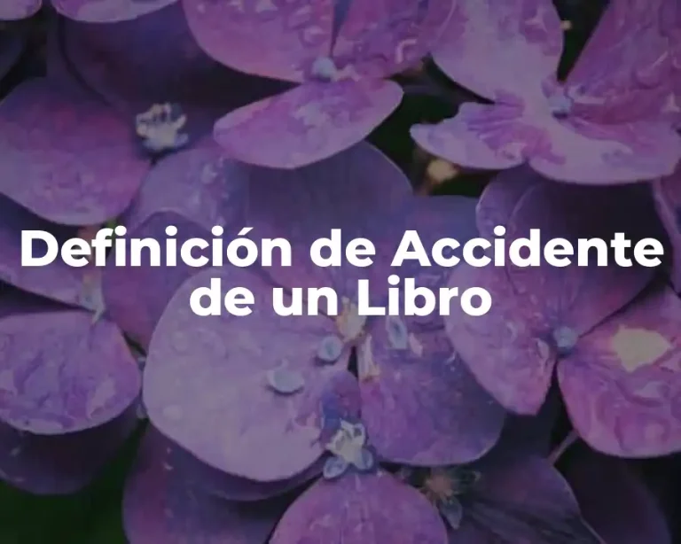 Definición de Accidente de un Libro