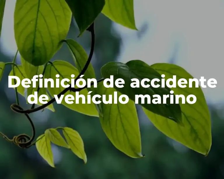 Definición de Accidente de Vehículo Marino