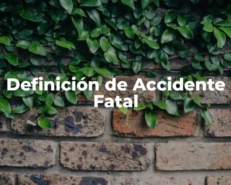 Definición de Accidente Fatal