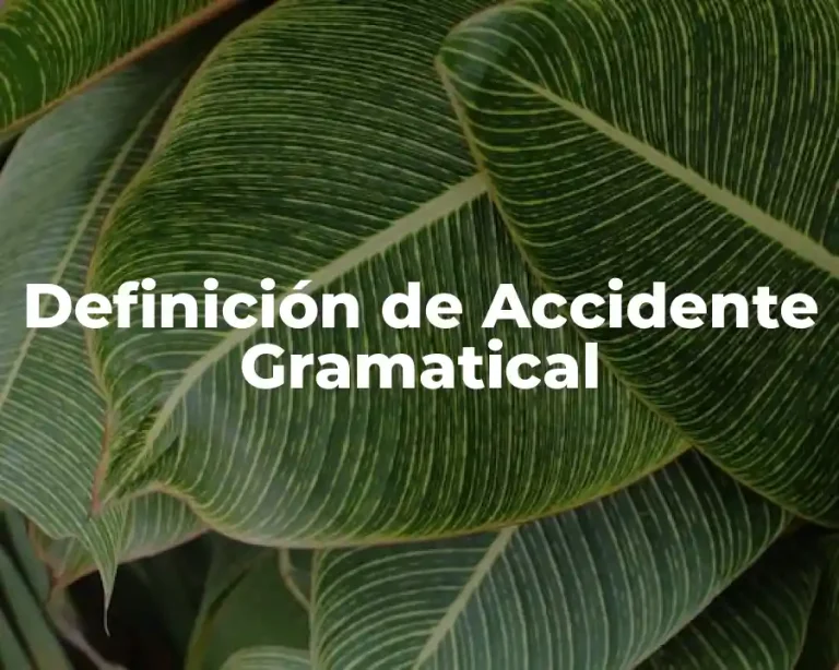Definición de Accidente Gramatical