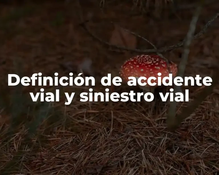 Definición de accidente vial y siniestro vial