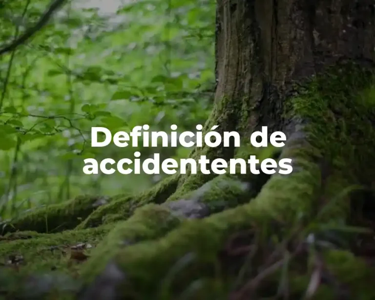 Definición de accidententes
