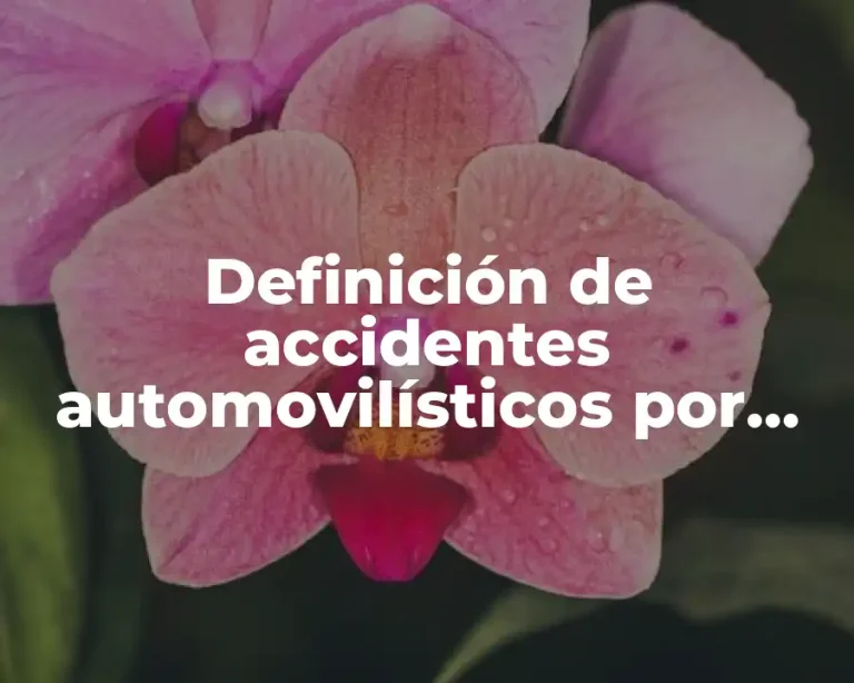 Definición de accidentes automovilísticos por alcoholismo en San Luis