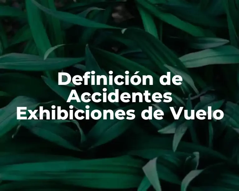 Definición de Accidentes Exhibiciones de Vuelo
