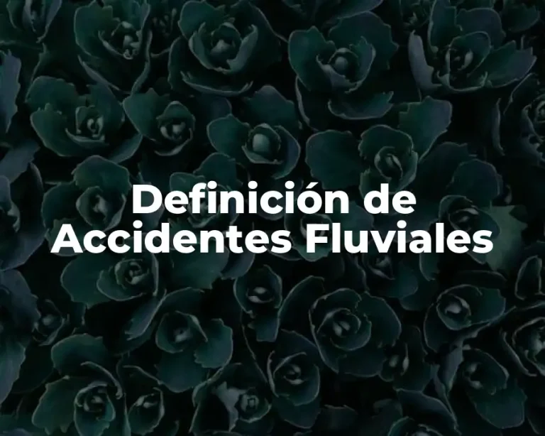 Definición de Accidentes Fluviales