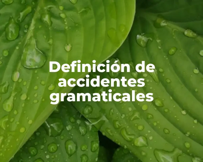Definición de accidentes gramaticales