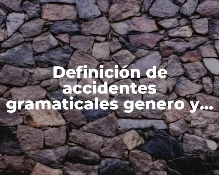 Definición de accidentes gramaticales genero y numero
