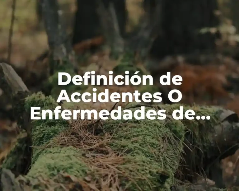 Definición de Accidentes O Enfermedades de Trabajo