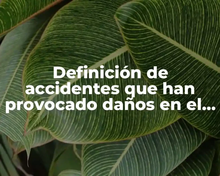 Definición de accidentes que han provocado daños en el ambiente mexicano