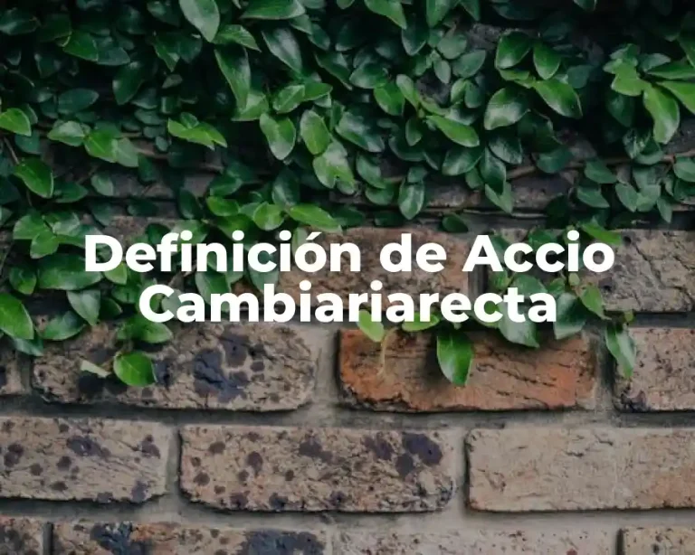 Definición de Accio Cambiariarecta