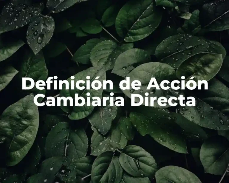 Definición de Acción Cambiaria Directa
