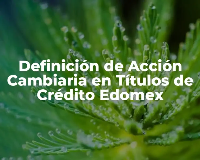Definición de Acción Cambiaria en Títulos de Crédito Edomex