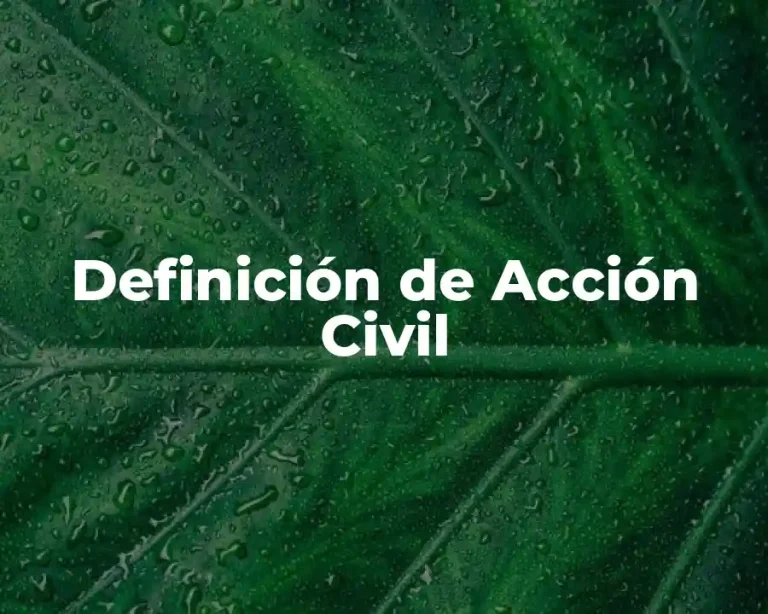 Definición de Acción Civil