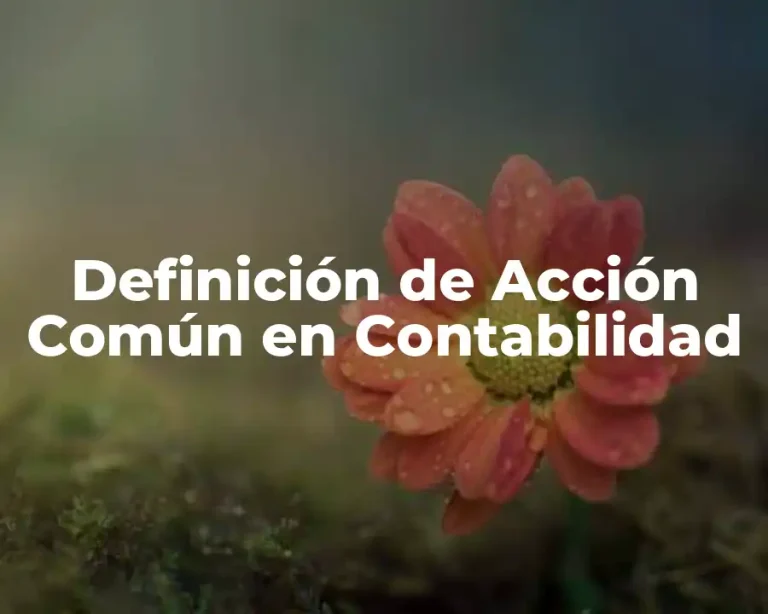 Definición de Acción Común en Contabilidad