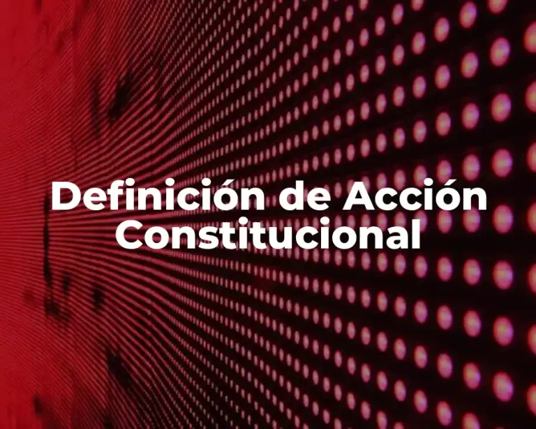 Definición de Acción Constitucional