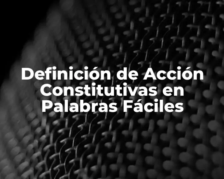 Definición de Acción Constitutivas en Palabras Fáciles