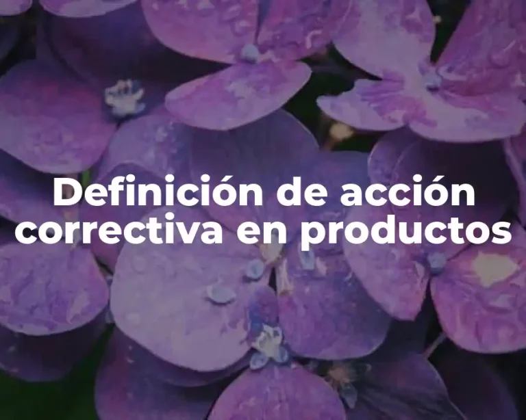 Definición de acción correctiva en productos