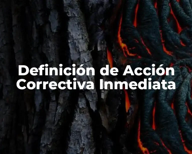 Definición de Acción Correctiva Inmediata