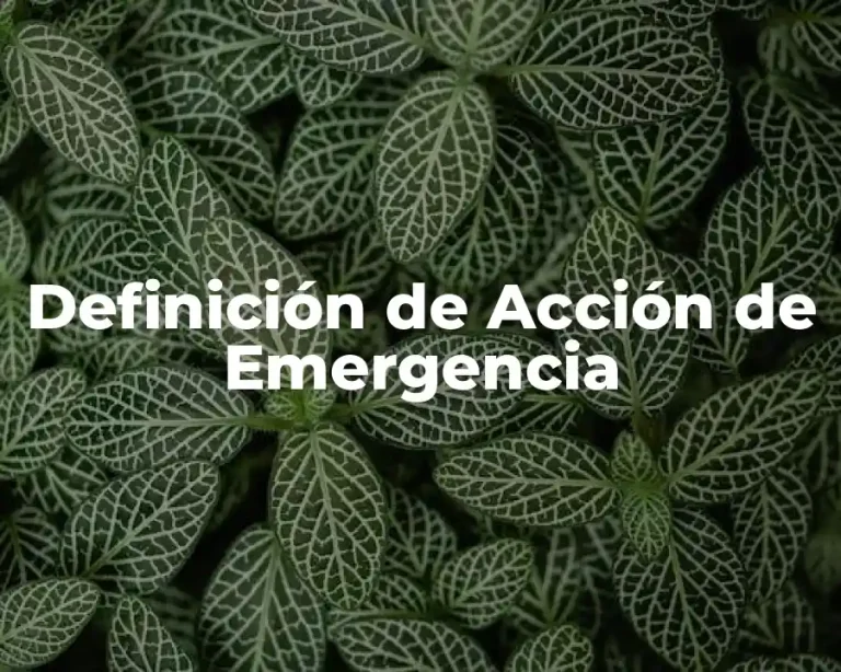 Definición de Acción de Emergencia