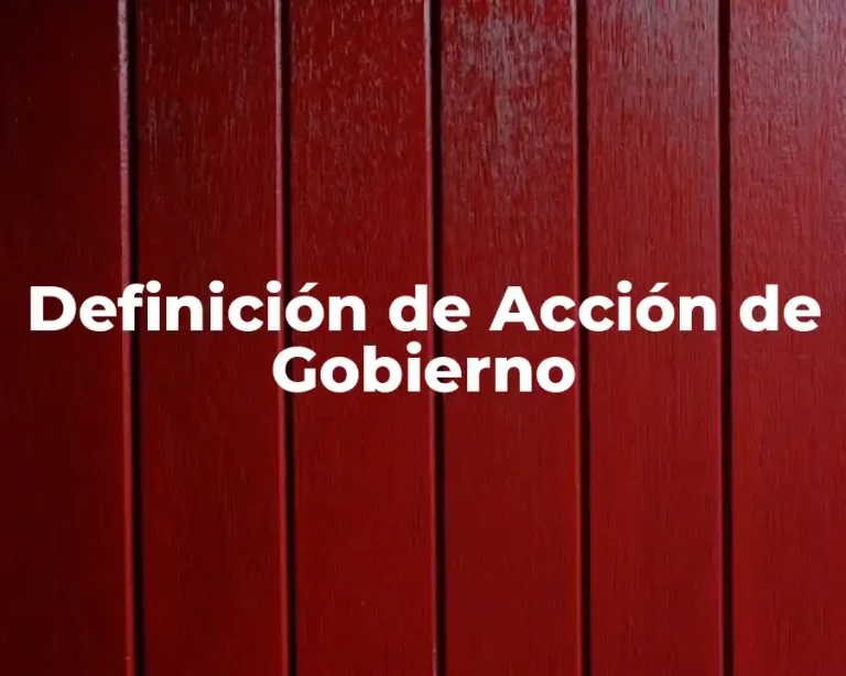 Definición de Acción de Gobierno