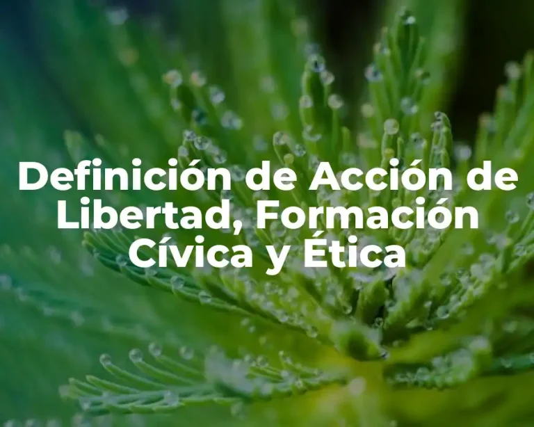 Definición de Acción de Libertad, Formación Cívica y Ética