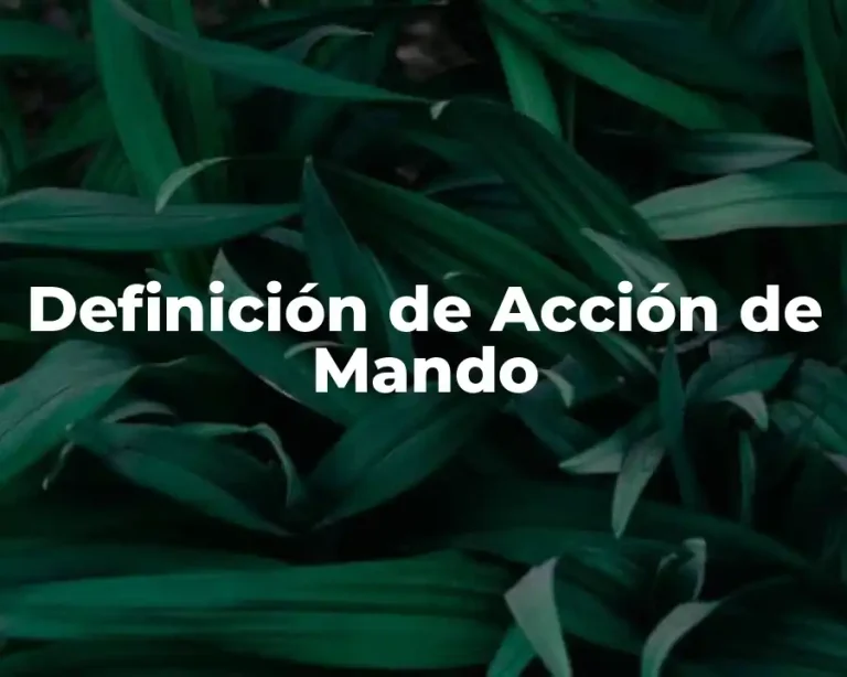 Definición de Acción de Mando