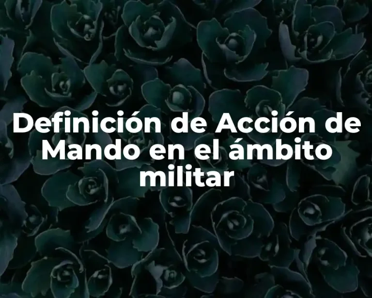 Definición de Acción de Mando en el ámbito militar