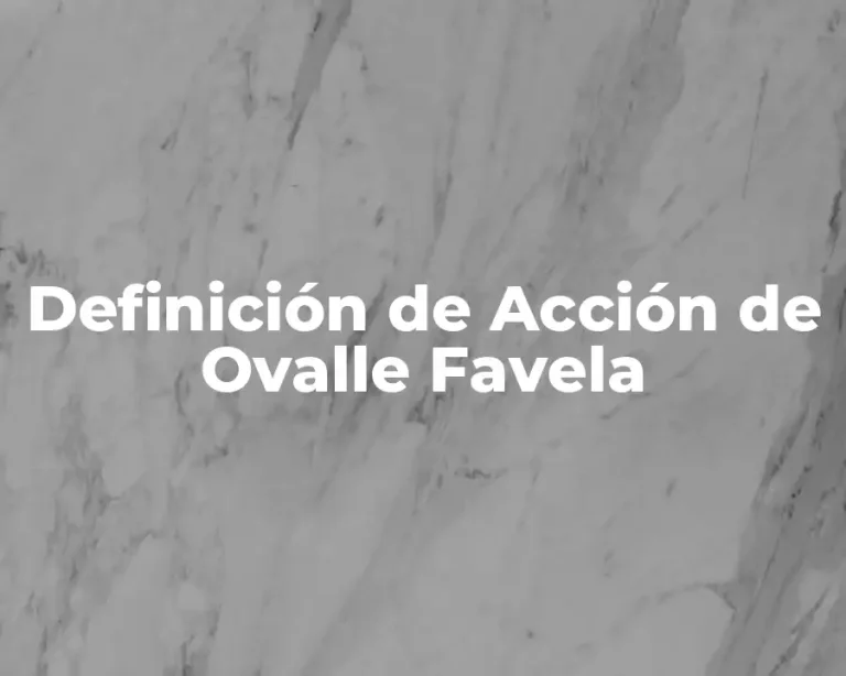 Definición de Acción de Ovalle Favela