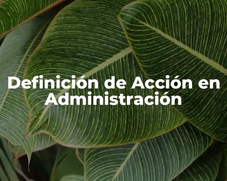 Definición de Acción en Administración
