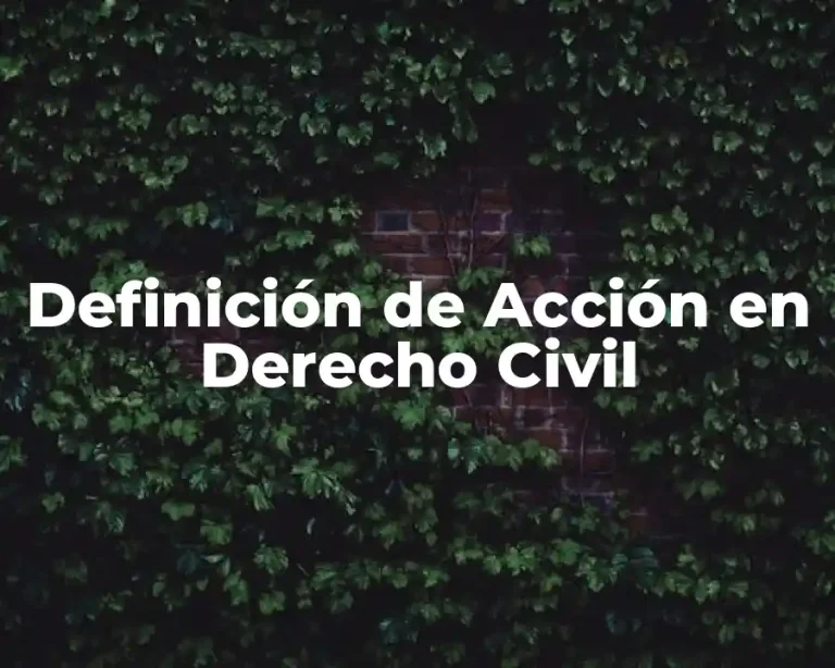 Definición de Acción en Derecho Civil